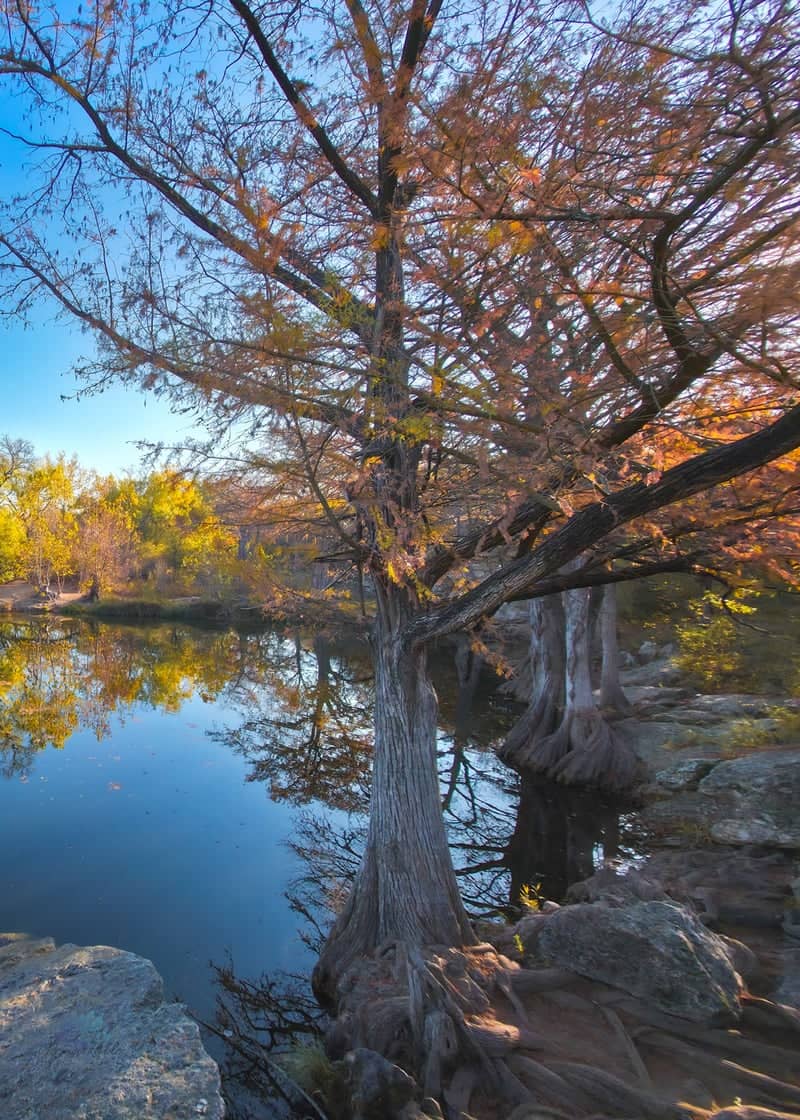 McKinney Falls State Park - Image 1