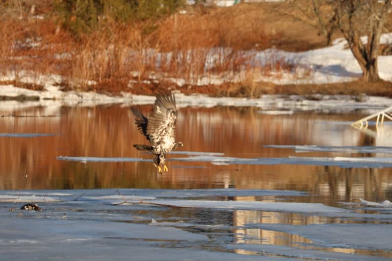 Apponaug Cove - Image 1