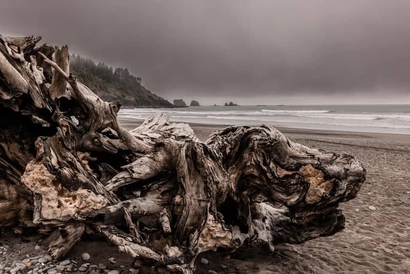 First Beach, La Push - Image 1