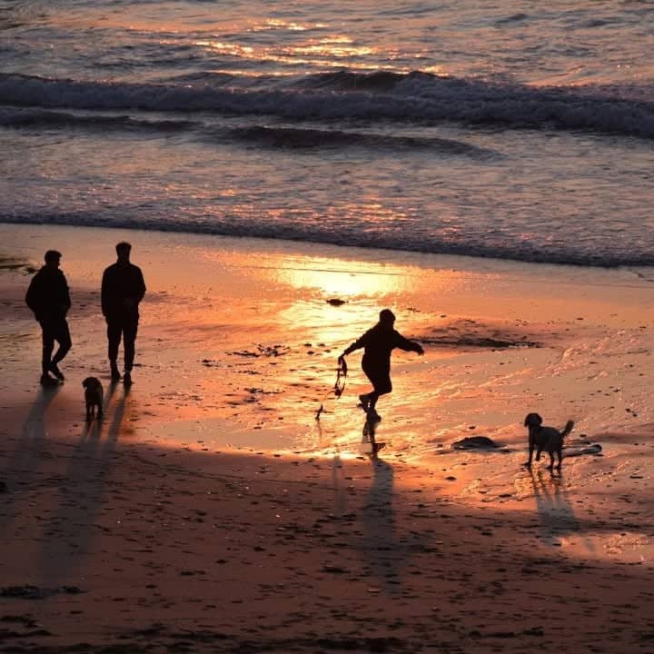 Reflective Sunset Beach - Image 1