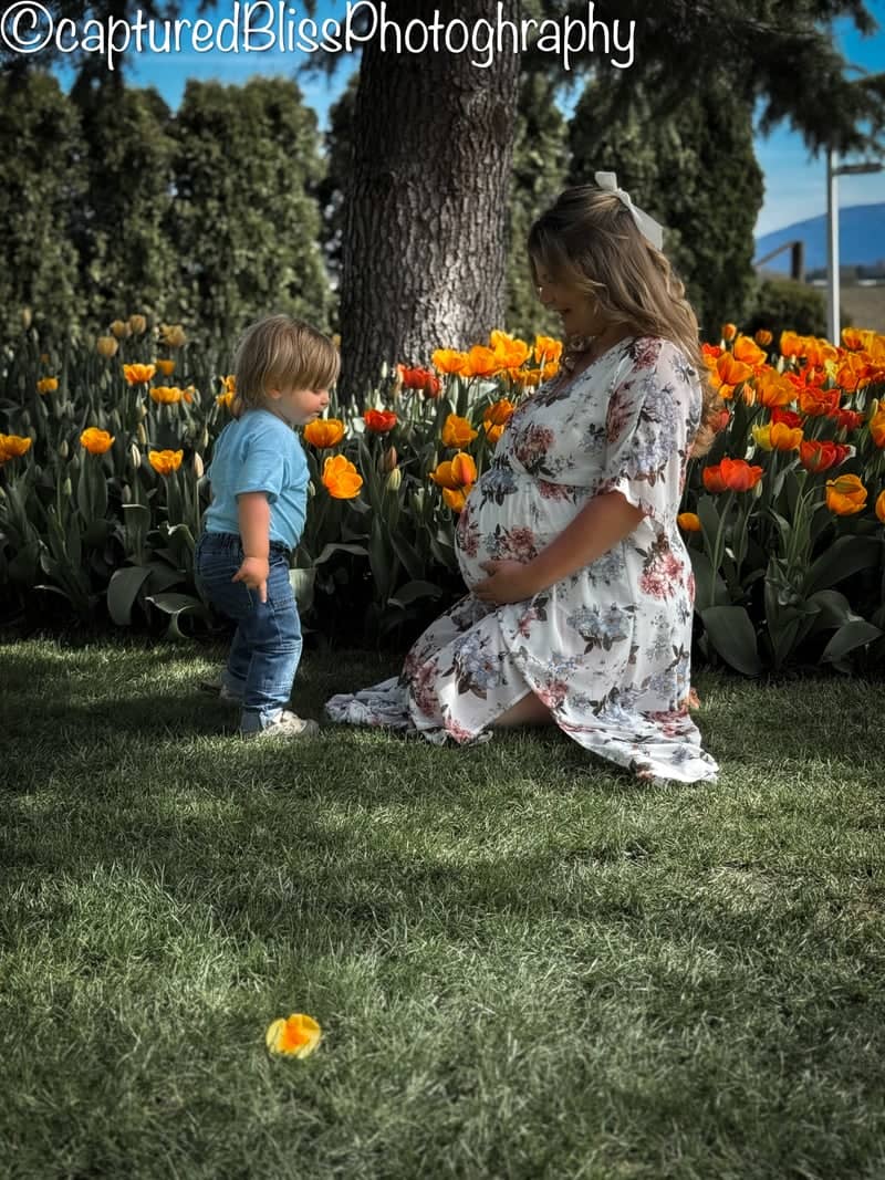 Tulip Town - Image 1