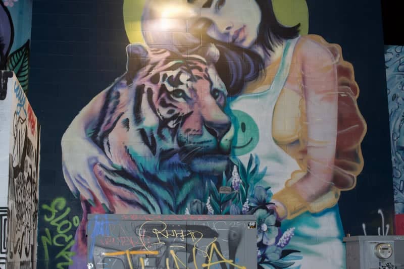 Buckeye Street Art Mural - Image 1