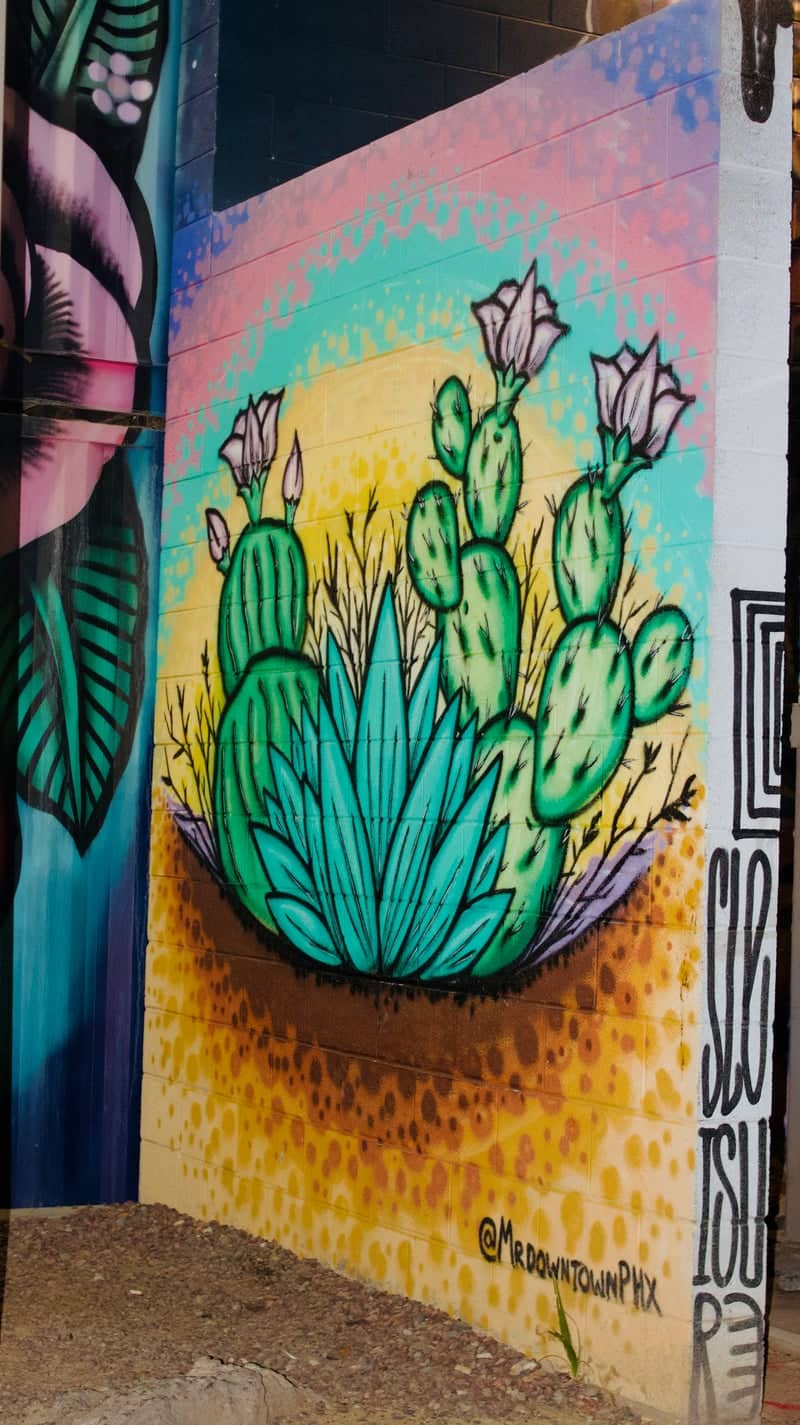 Buckeye Cactus Mural - Image 1