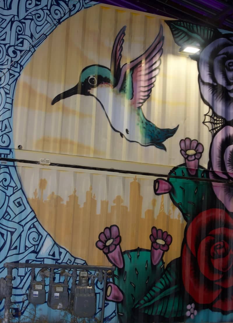Buckeye Desert Mural - Image 1