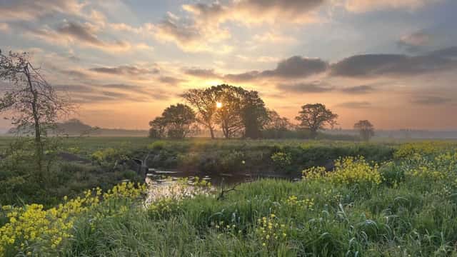 Home Farm Lane Meadows