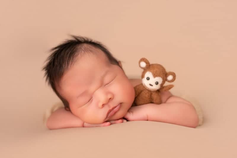 Union Portrait Studio - Image 1
