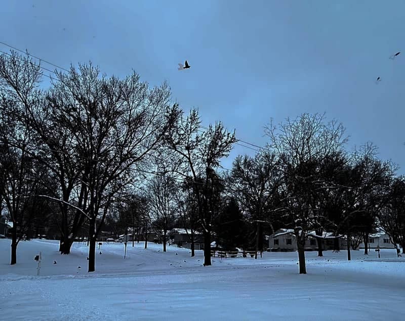 Medina Winter Neighborhood - Image 1