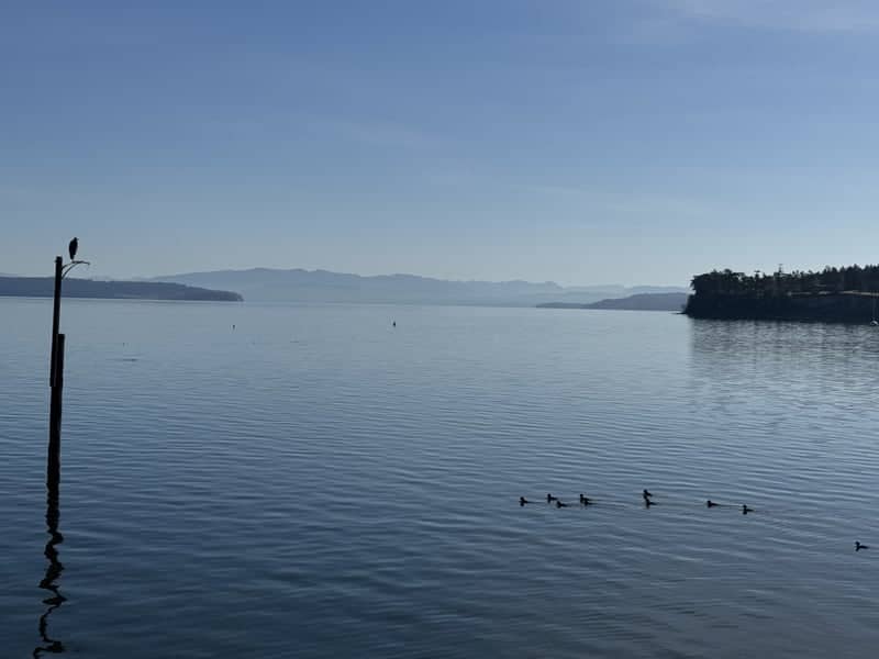 Penn Cove Waterfront - Image 1