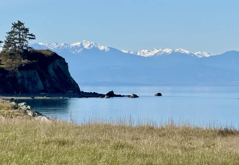 Whidbey Island Coastal Overlook - Image 1