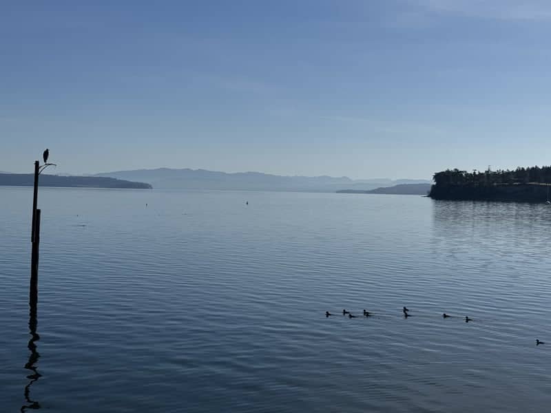 Penn Cove Waterfront - Image 1