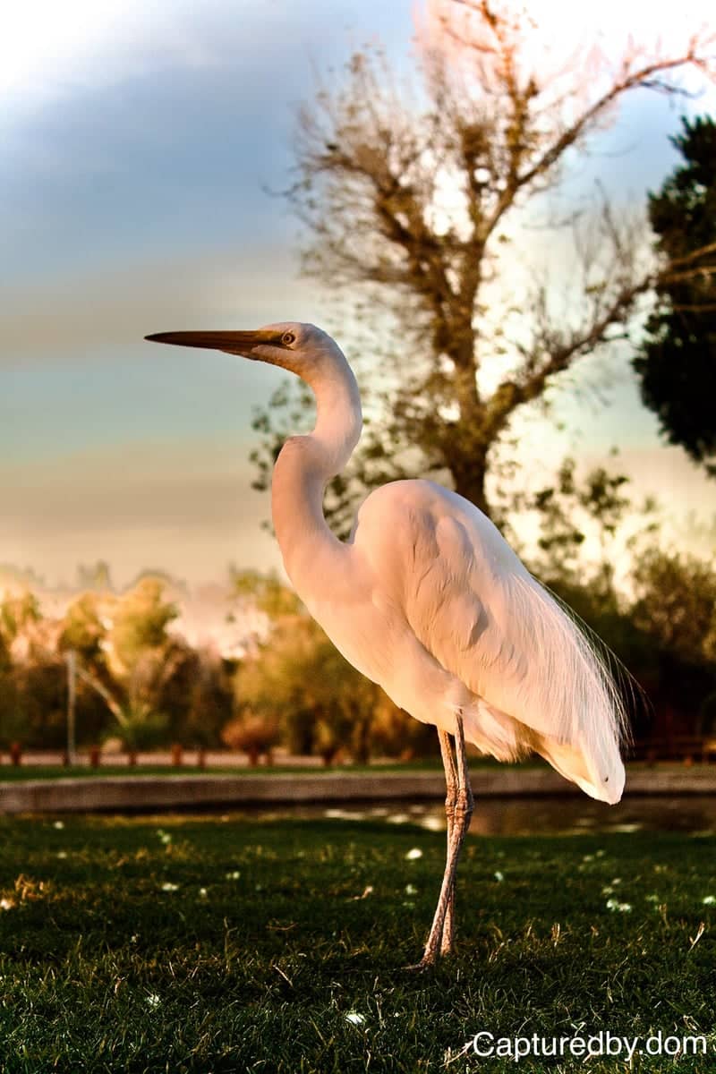Yuma Riverfront Park - Image 1