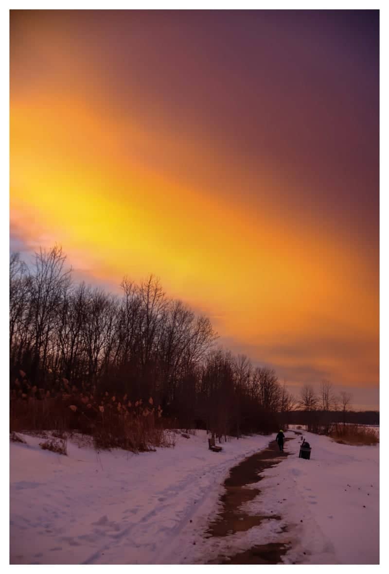 Trenton Park Winter Trail - Image 1