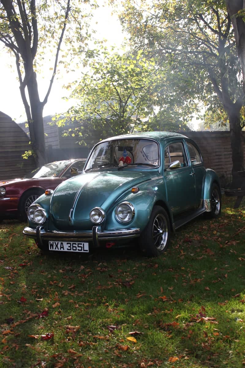Vintage Beetle Garden Display - Image 1