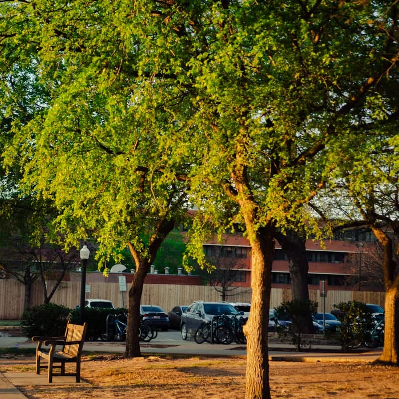 University of Oklahoma Campus Park - Image 1