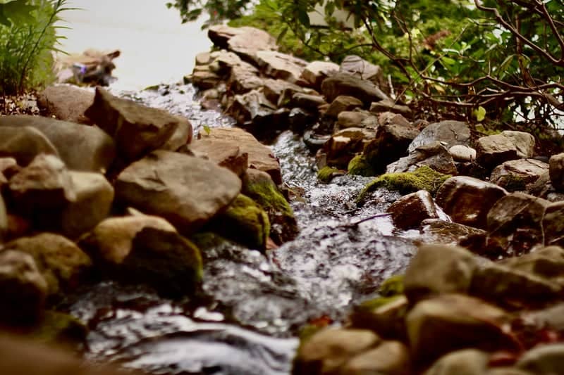 Rocky Stream at Unicoi Street - Image 1