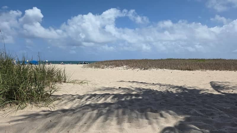 Pompano Beach Dunes - Image 1