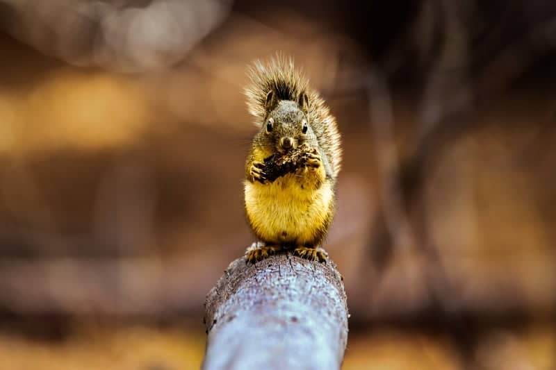 Summer Lake Wildlife Area - Image 1