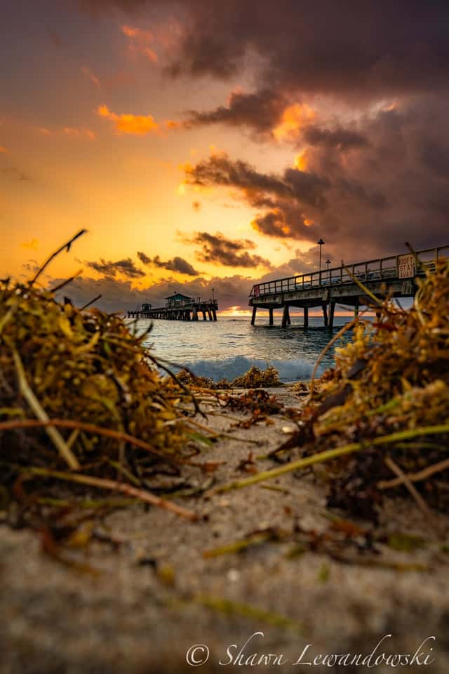 Anglin's Fishing Pier