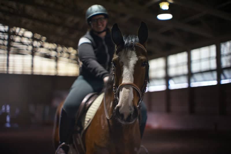 Whitings Neck Equestrian Center - Image 1