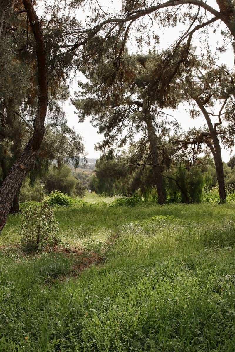 Horsethief Canyon Park - Image 1
