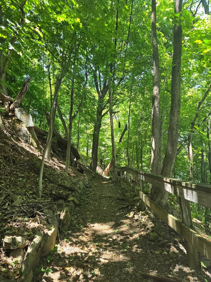 Piermont Woodland Trail - Image 1