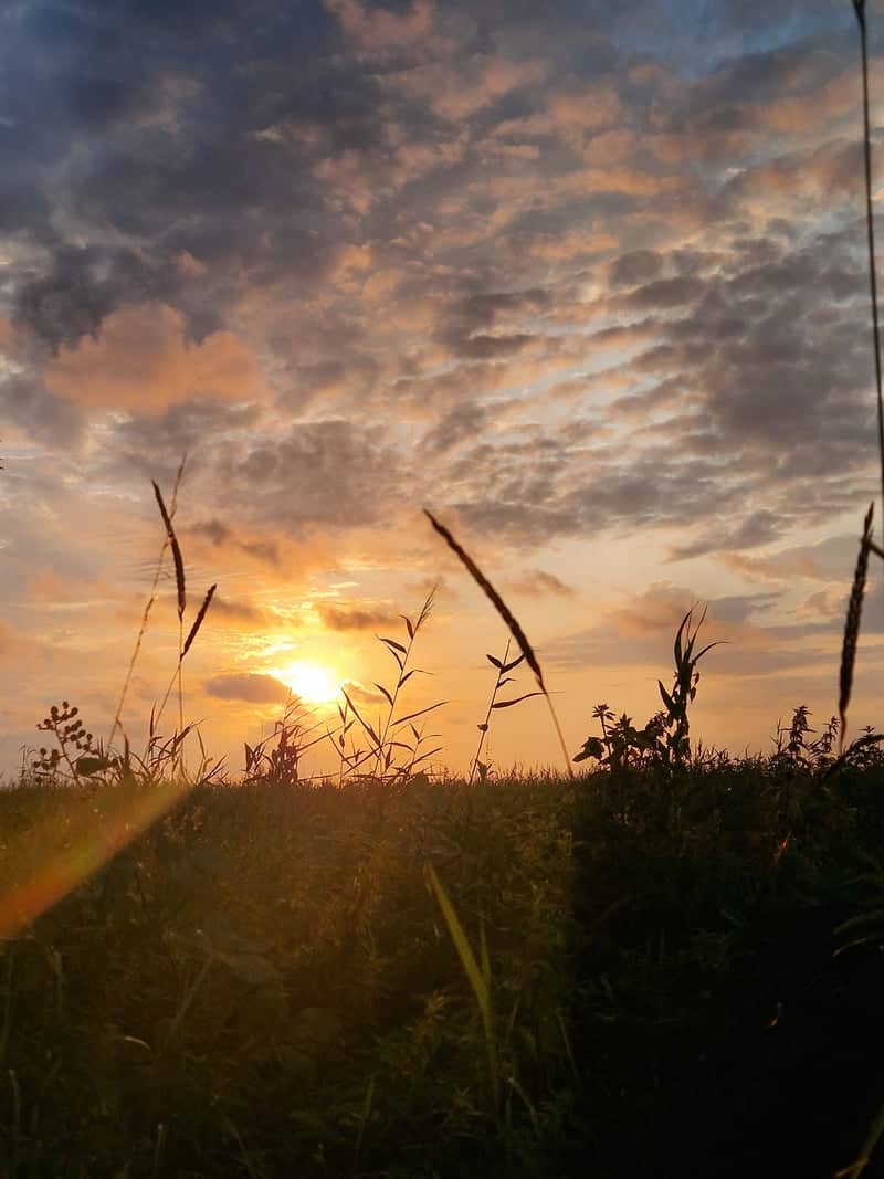 Houten Countryside Fields - Image 1