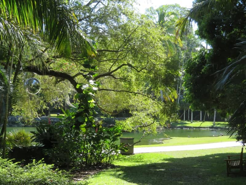 Fairchild Tropical Botanic Garden - Image 1