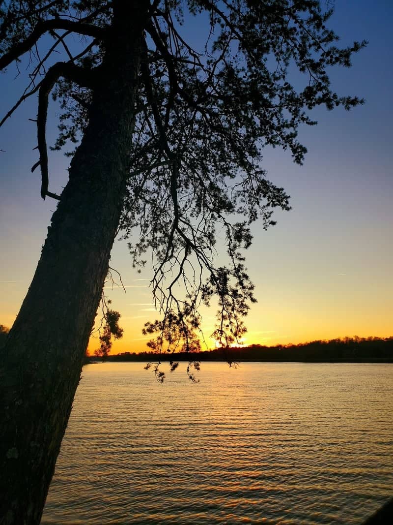 Tennessee River Sunset Overlook - Image 1