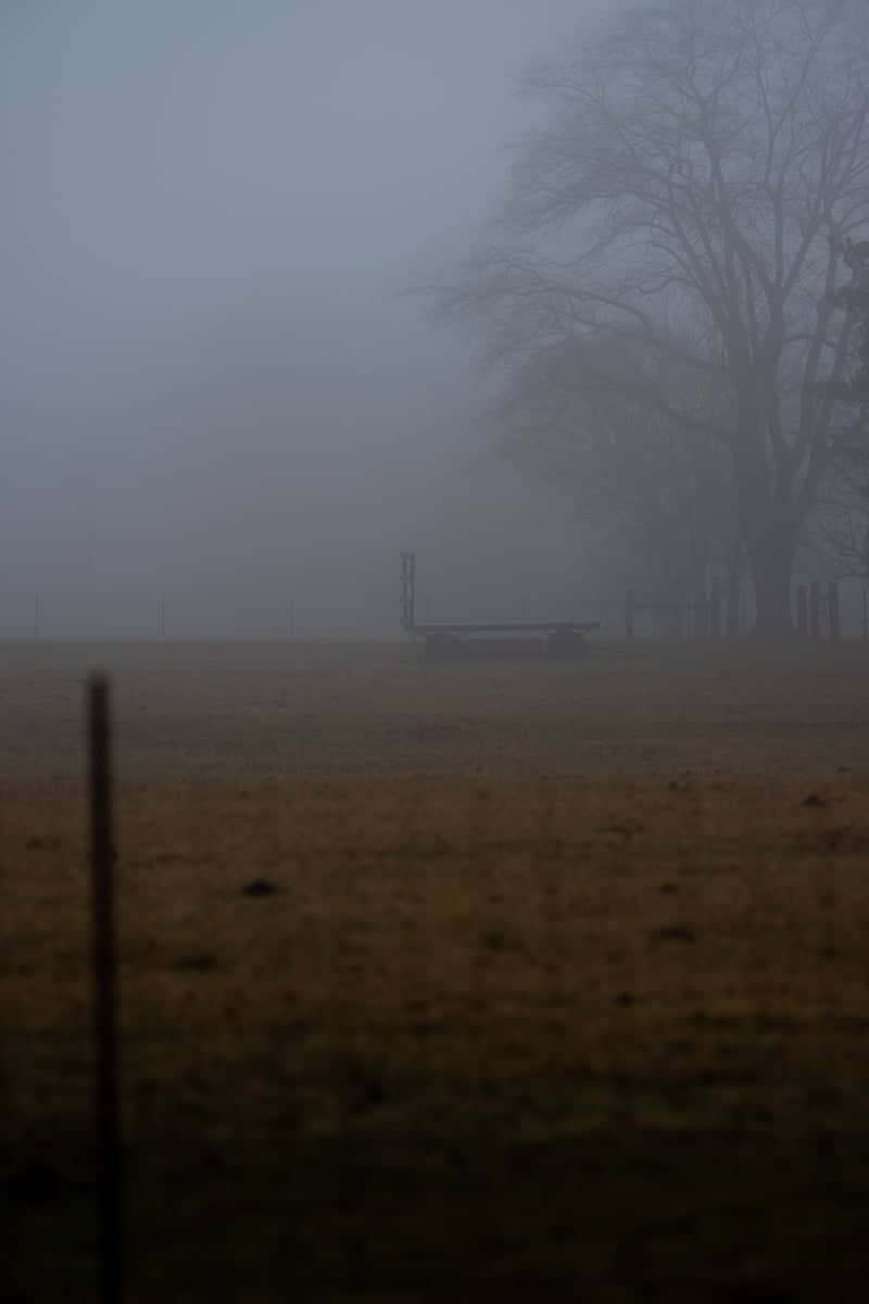 Misty Carroll Farmland - Image 1