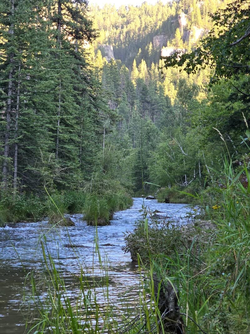 Spearfish Creek Canyon - Image 1