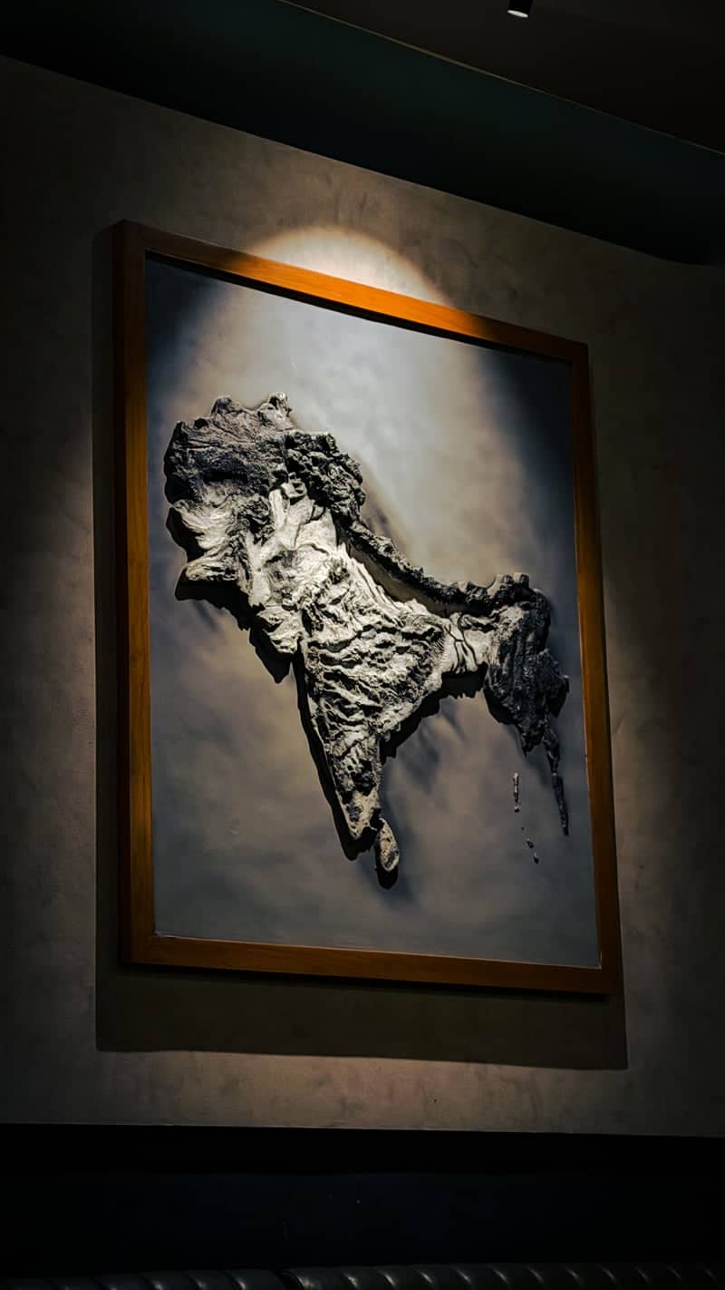 India Relief Map Art - Image 1