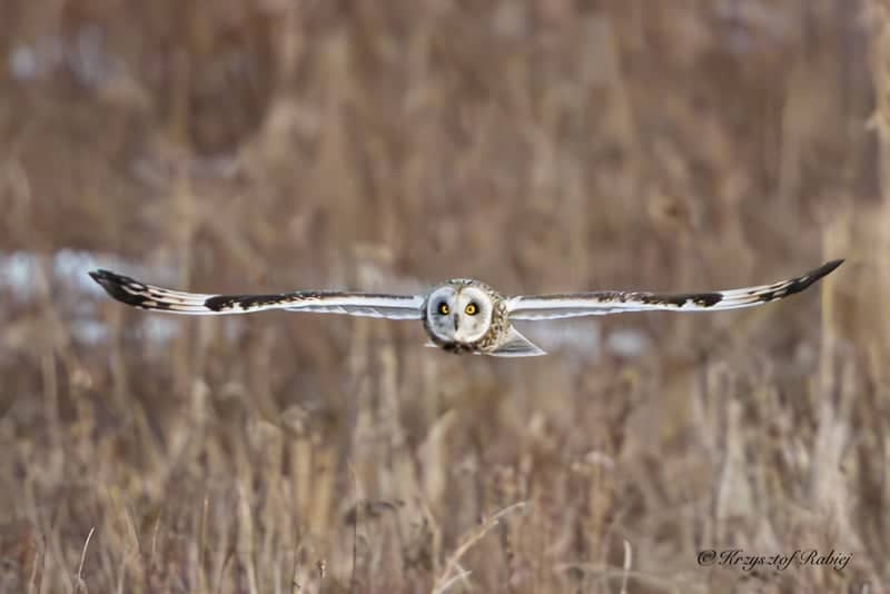 Shawangunk Grasslands National Wildlife Refuge - Image 1