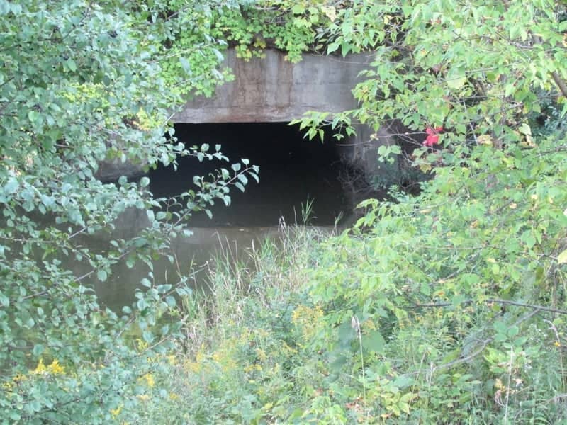 McKnight Lake Railroad Culvert - Image 1