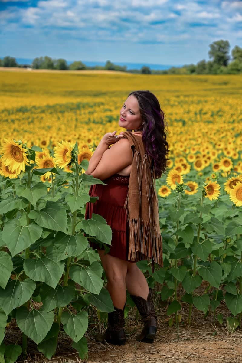Swamp Fox Road Sunflower Fields - Image 1
