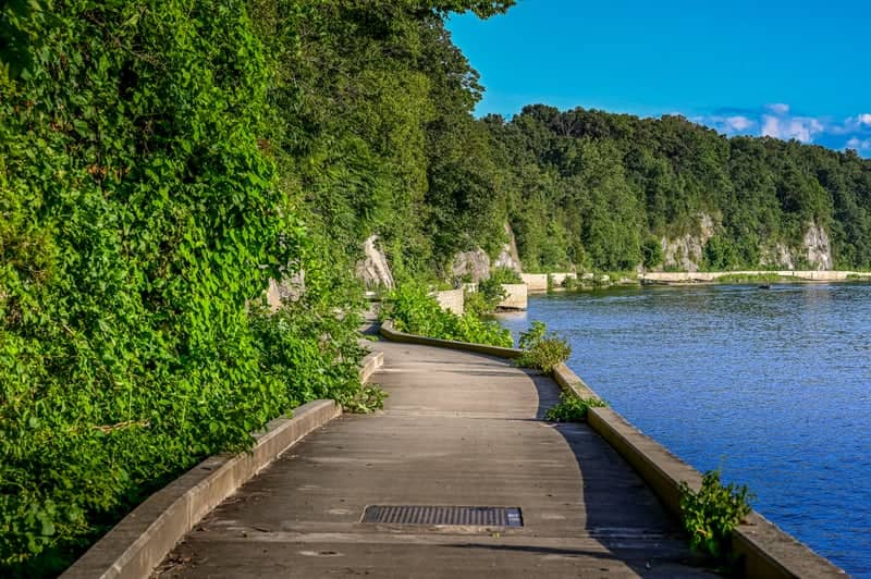 Big Slackwater Boardwalk - Image 1