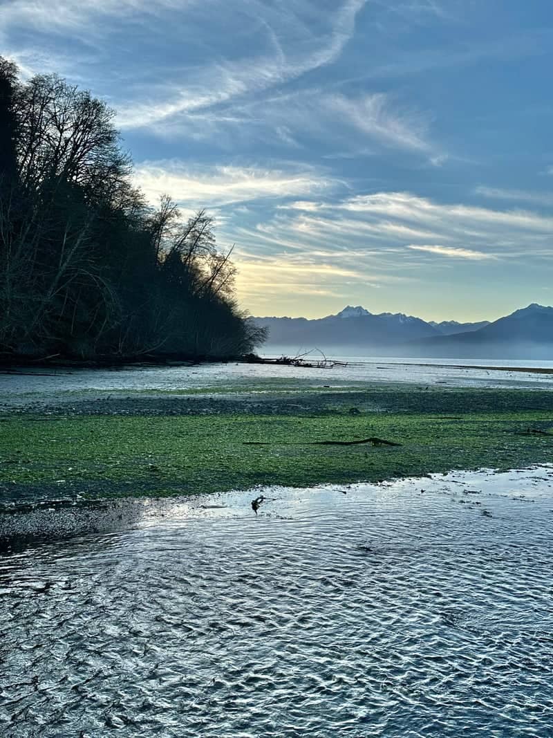 Anderson Landing Preserve - Image 1