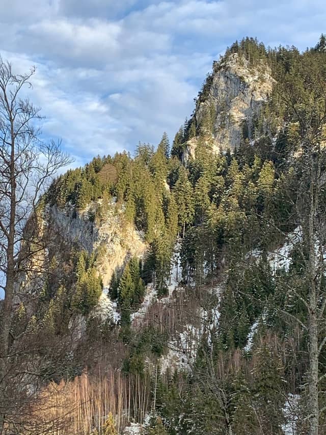 Schwangau Alpine Slopes - Image 1