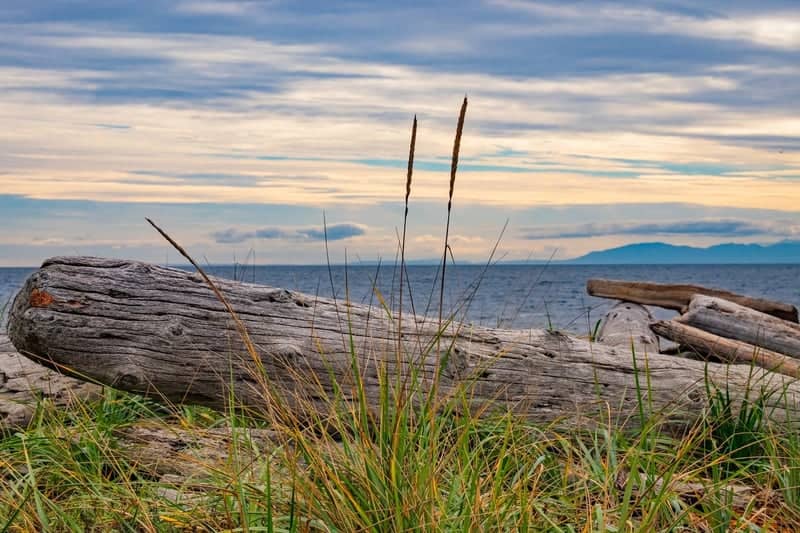South Beach, San Juan Island - Image 1