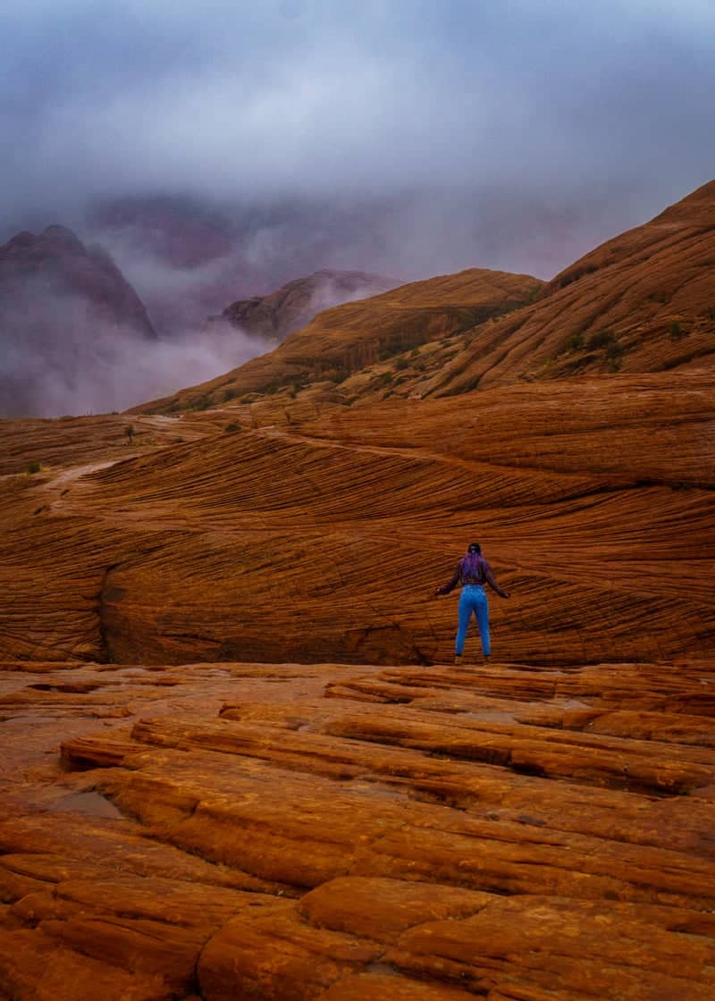 Petrified Dunes, Snow Canyon State Park - Image 1