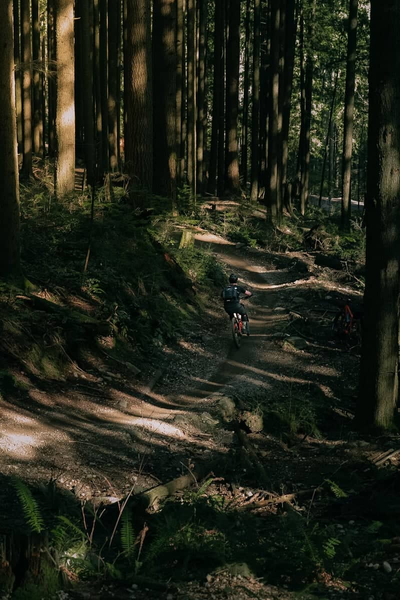 Mount Fromme Mountain Biking Trails - Image 1