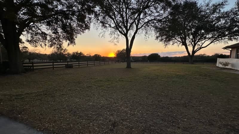 Weirsdale Sunset Field - Image 1