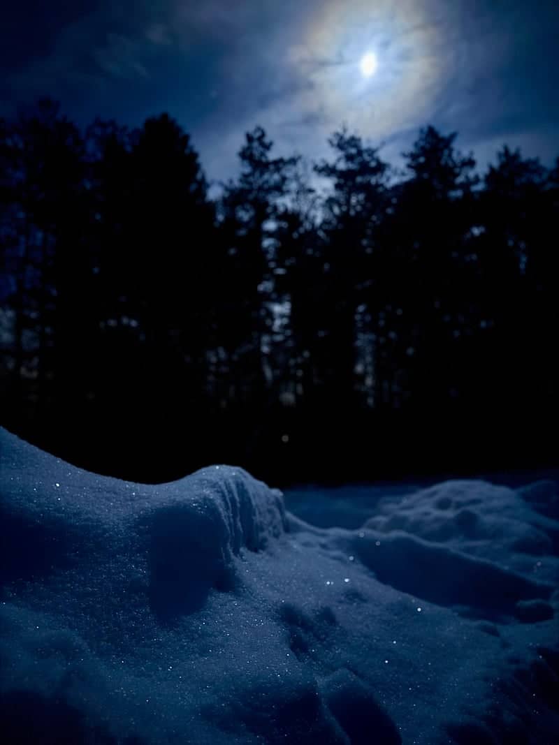 Chesterland Winter Woods - Image 1
