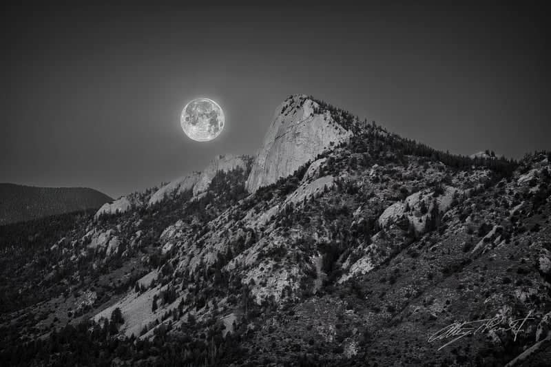 Tooth of Time - Image 1