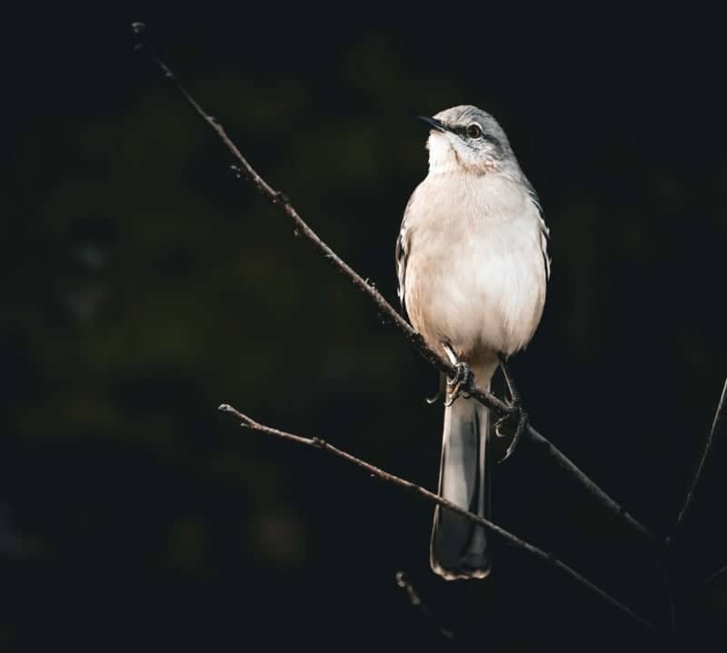 Wheeler National Wildlife Refuge - Image 1