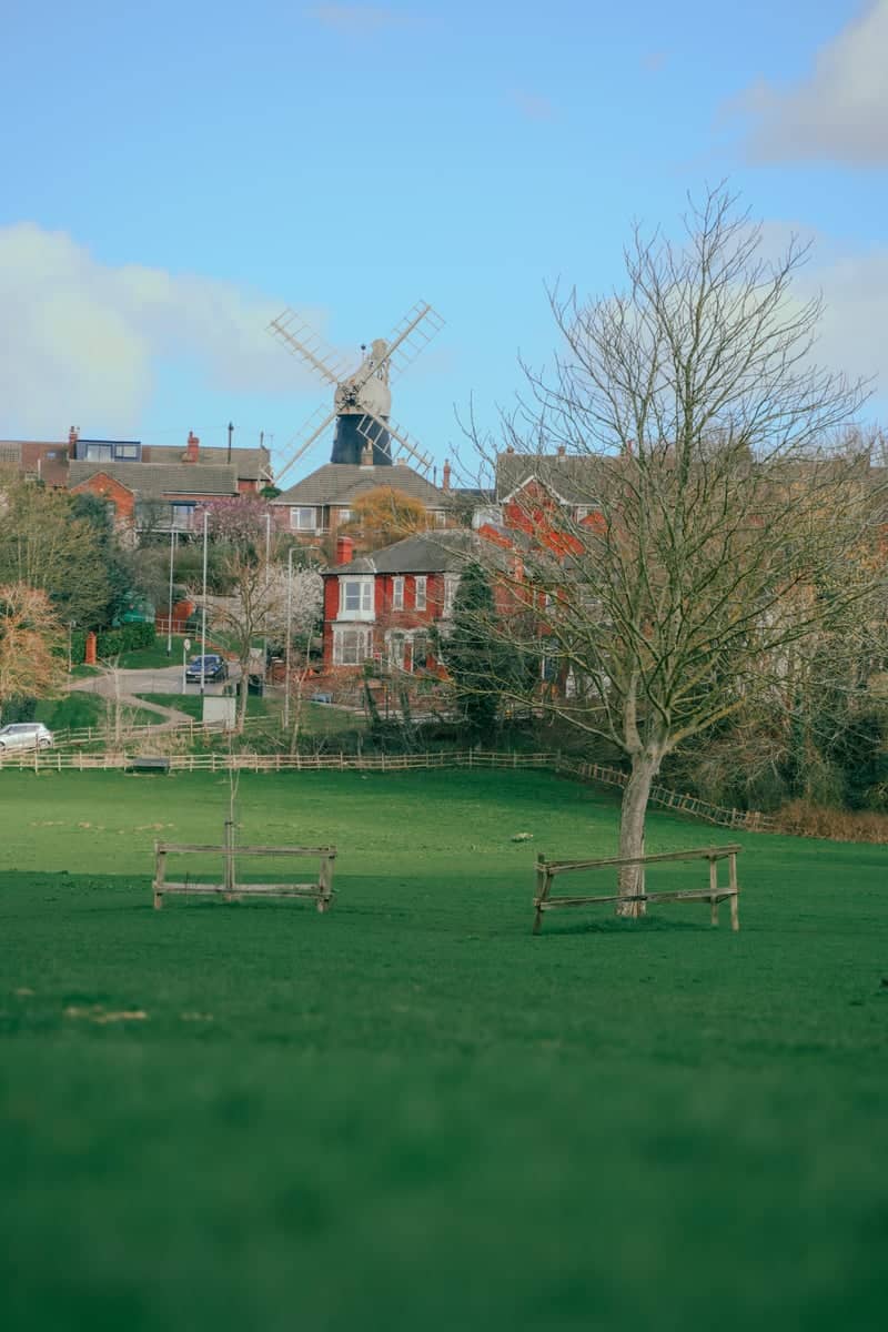Ellis Mill from West Common - Image 1
