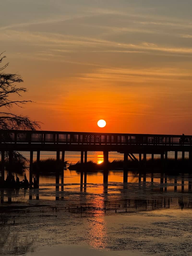 Duck Town Park Boardwalk - Image 1