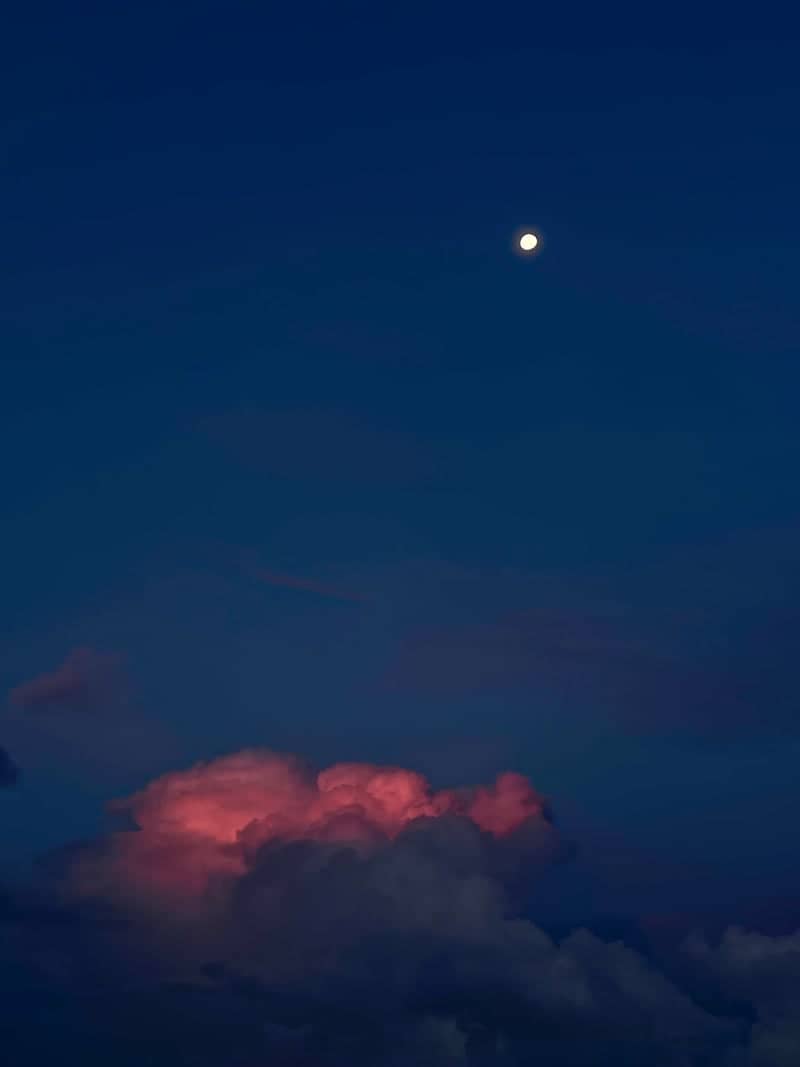 Charlotte Harbor Sunset Point - Image 1