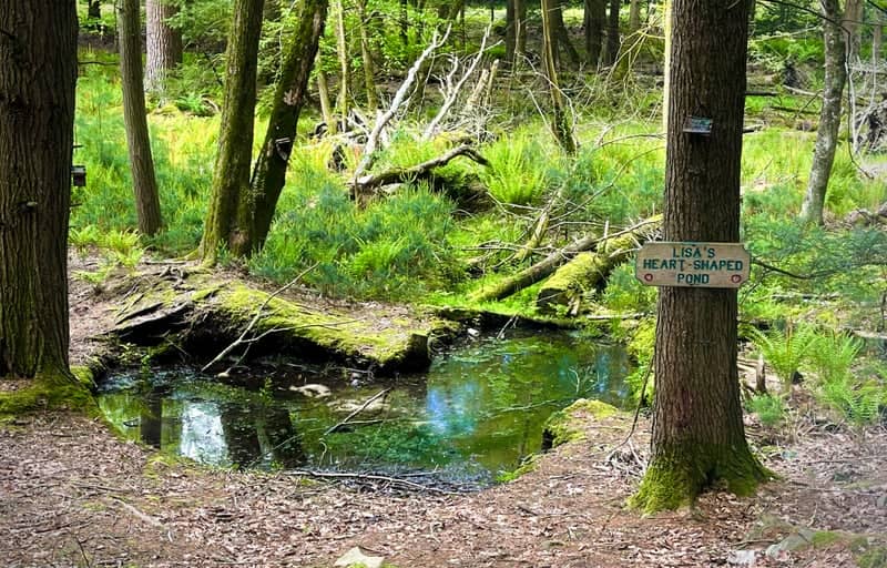 Lisa's Heart-Shaped Pond - Image 1