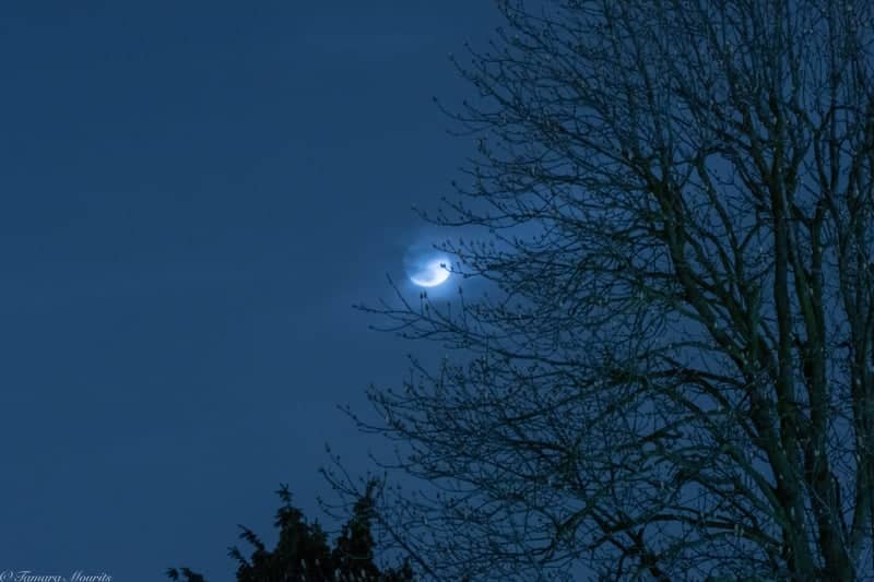 Leusderweg Twilight View - Image 1