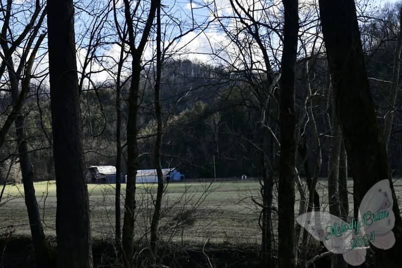 Gainesboro Rural Farmland - Image 1